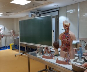 Photo-DR-2
