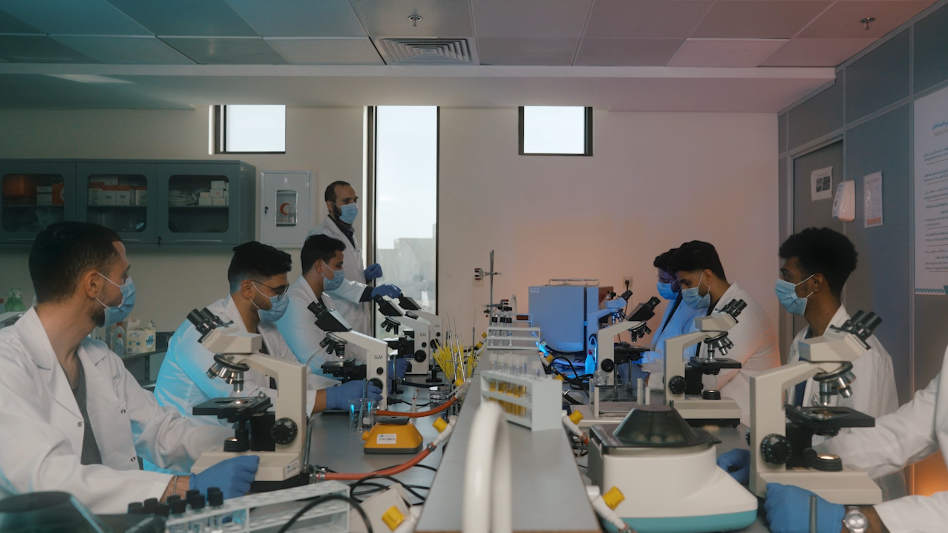 Faculty of Medicine, University of Knowledge