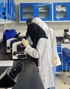 PHOTO-Lab-2