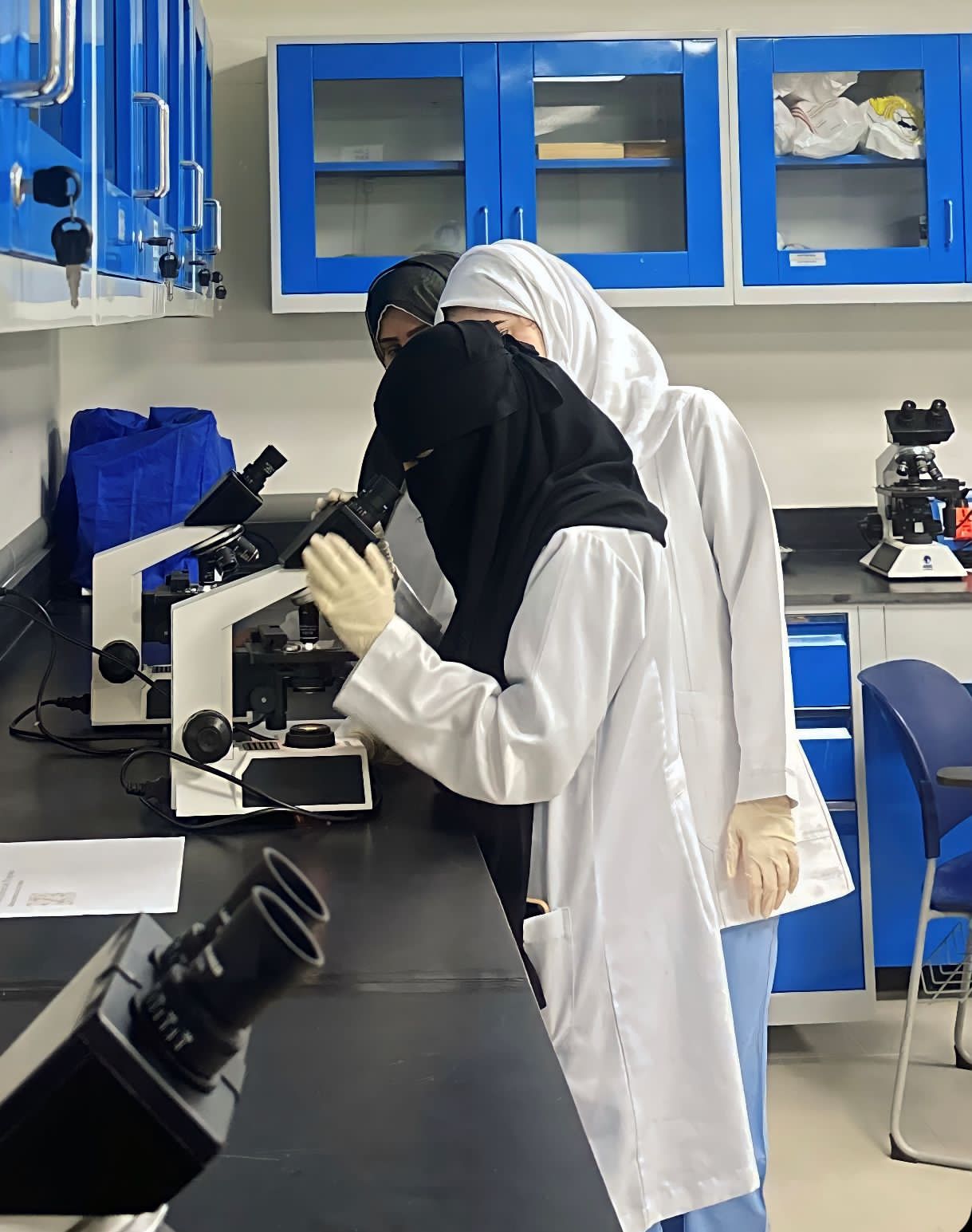 PHOTO-Lab-2
