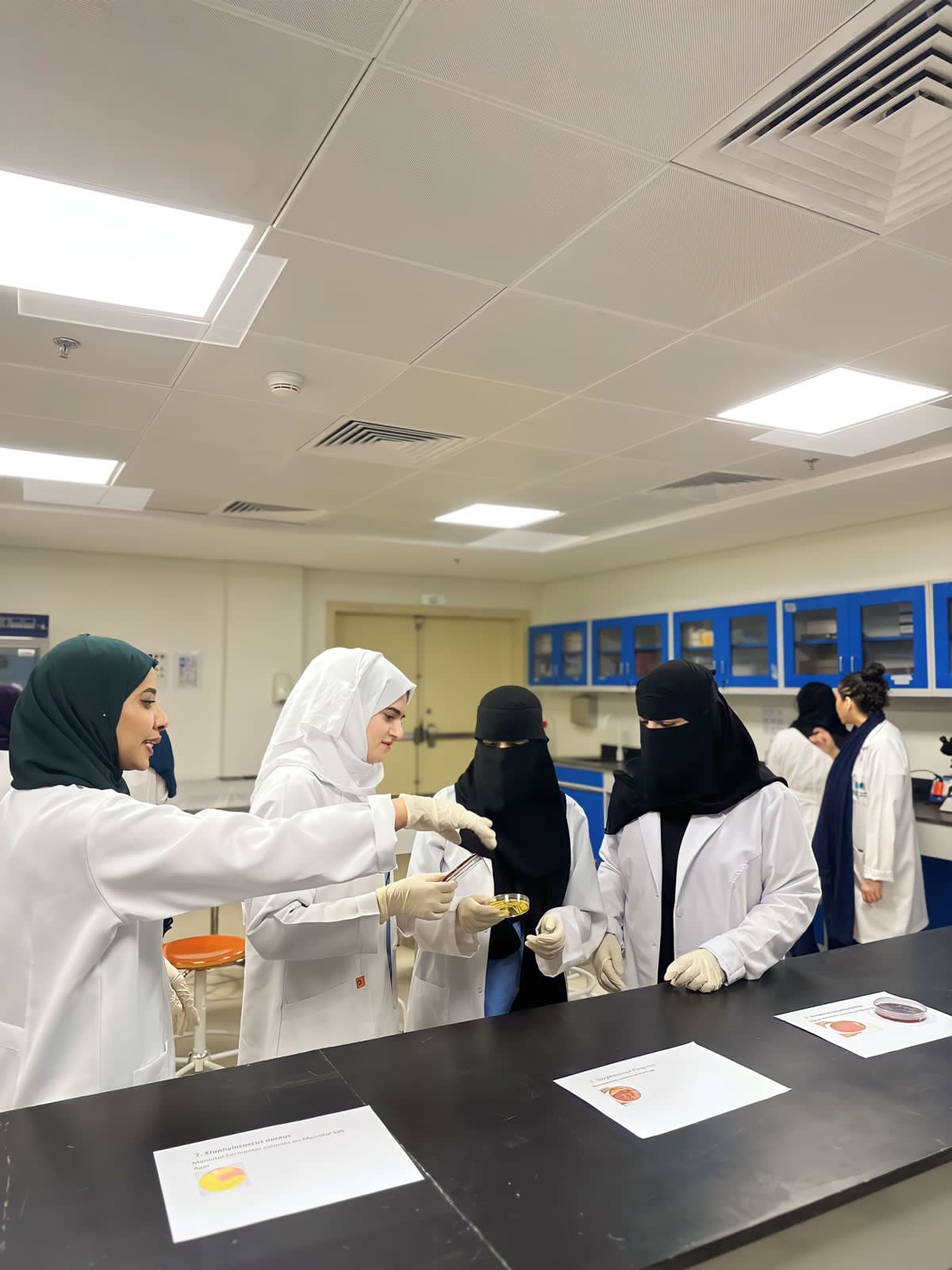 PHOTO-Lab-4