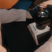 Al-Maarifa University laboratories