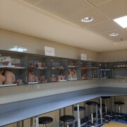 Photo -DR-1