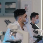 Knowledge University Medicine